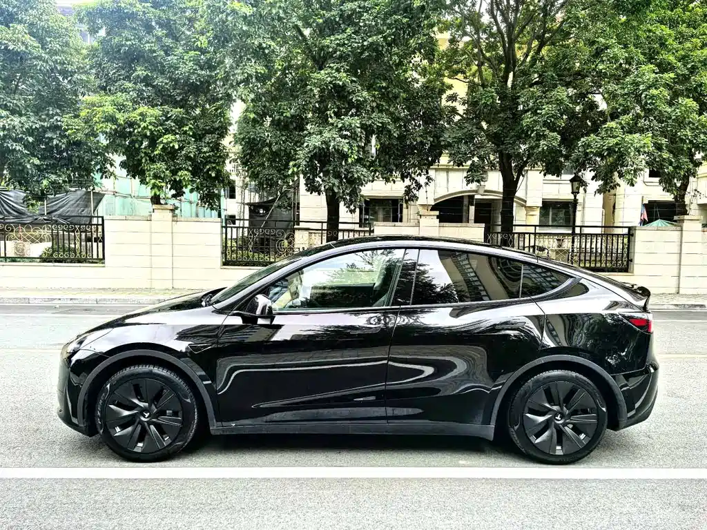 Tesla Model Y — миниатюра 4