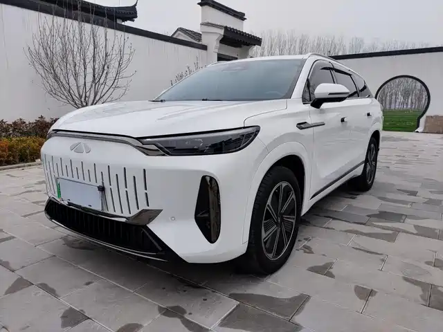 CHERY FENGYUN T10 2024