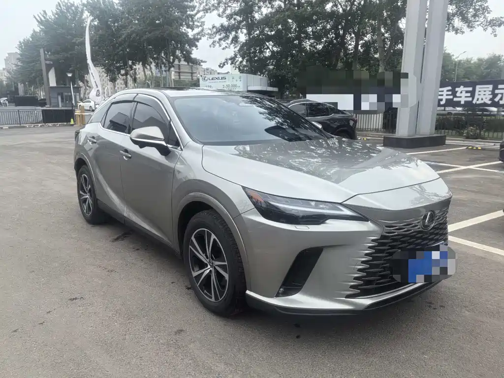 Lexus RX 2025 300