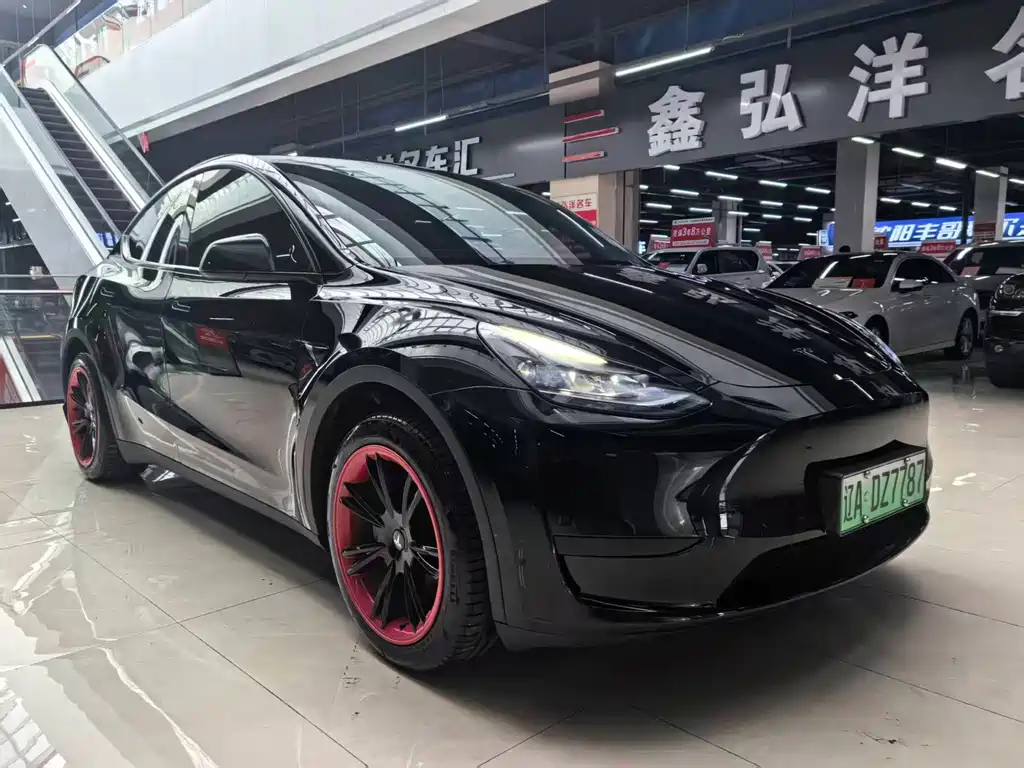 Tesla Model Y — миниатюра 3