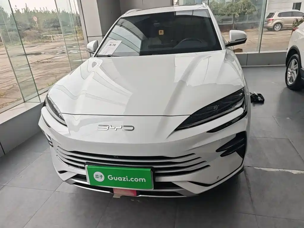 BYD PLUS New Energy — миниатюра 3