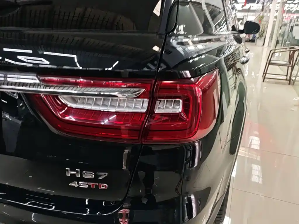 Hongqi Hongqi HS7 — миниатюра 8