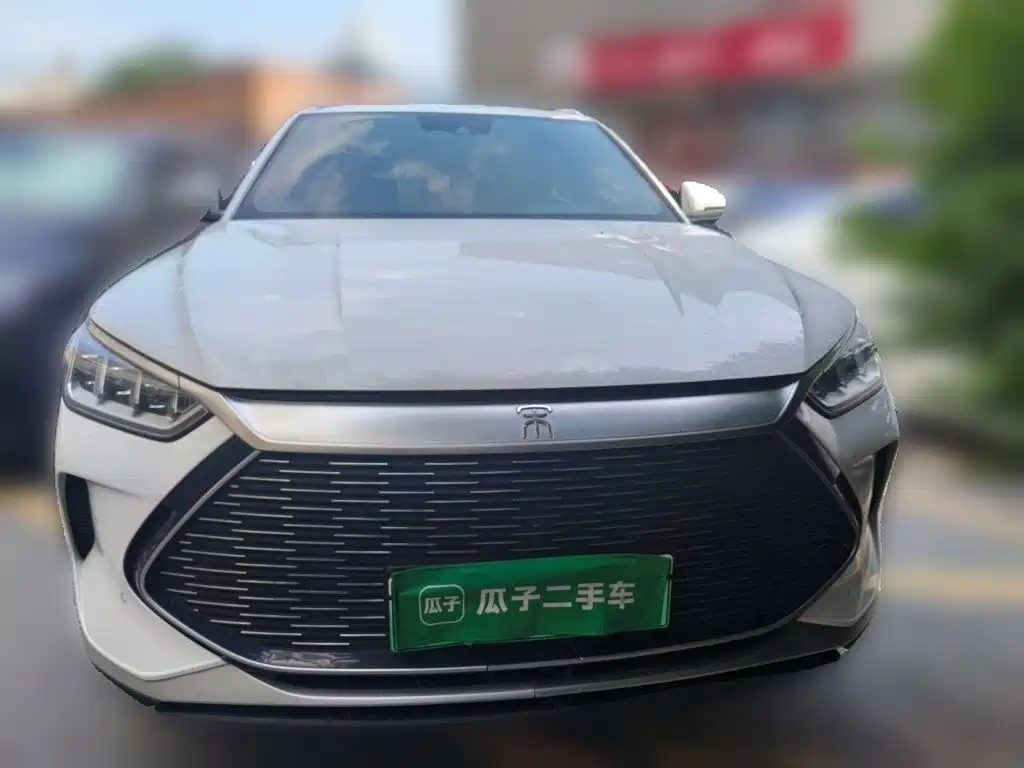 BYD PLUS New Energy