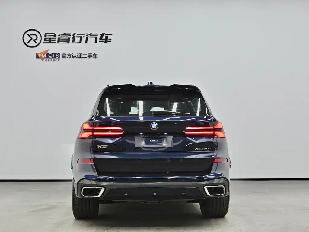 BMW X5 — миниатюра 4