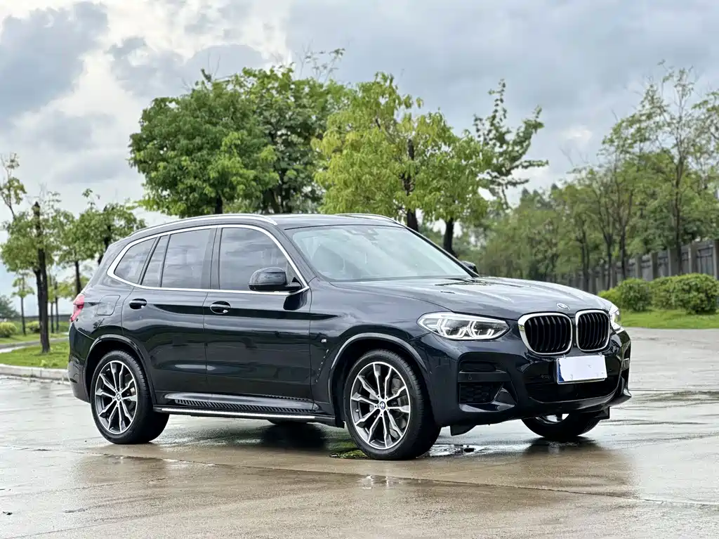 BMW X3 — миниатюра 7