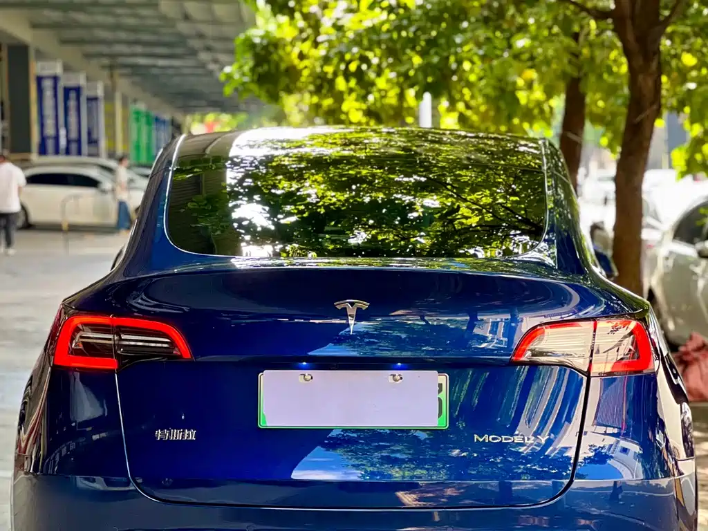 Tesla Model Y — миниатюра 10
