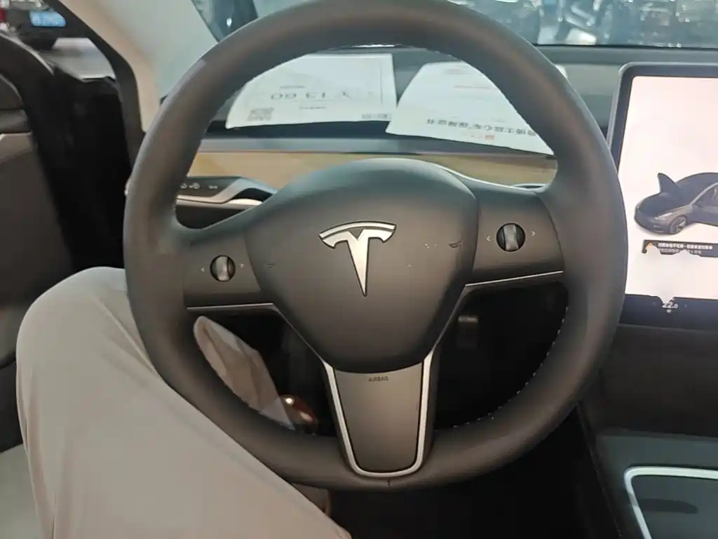 Tesla Model 3 — миниатюра 11