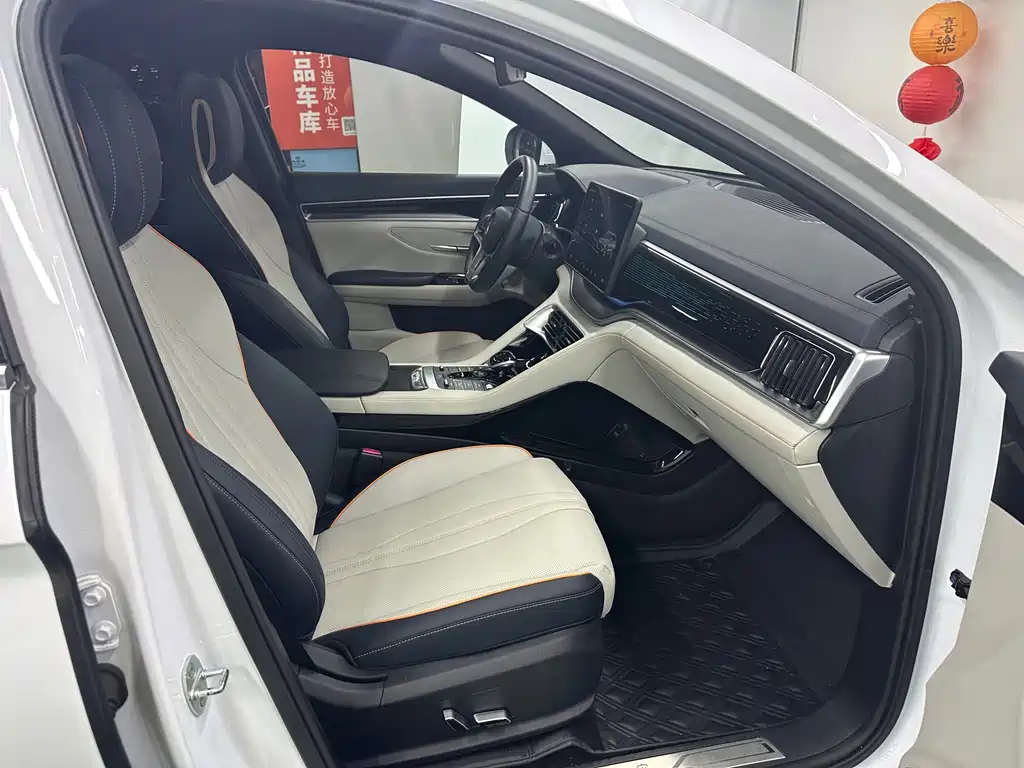 BYD PLUS New Energy — миниатюра 23
