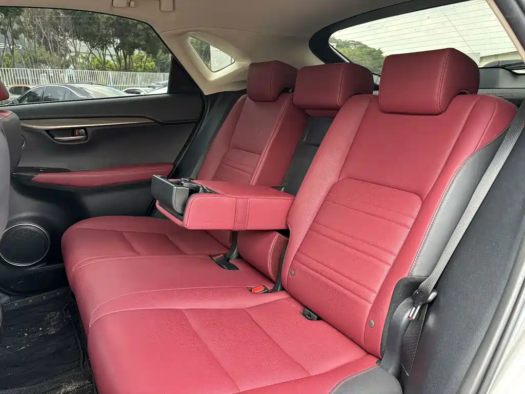 Lexus NX — миниатюра 17