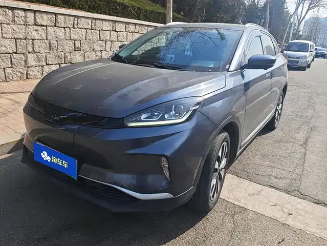 Weltmeister WEIMA EX5 2019