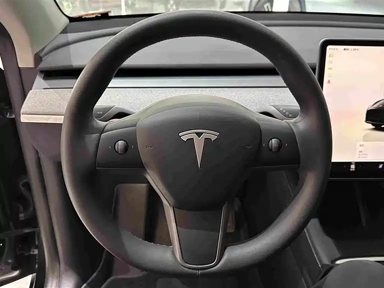 Tesla Model Y — миниатюра 10