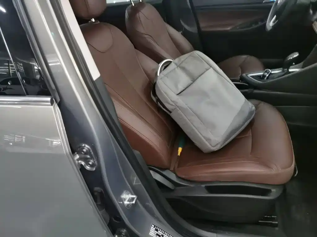 Buick GL6 — миниатюра 25
