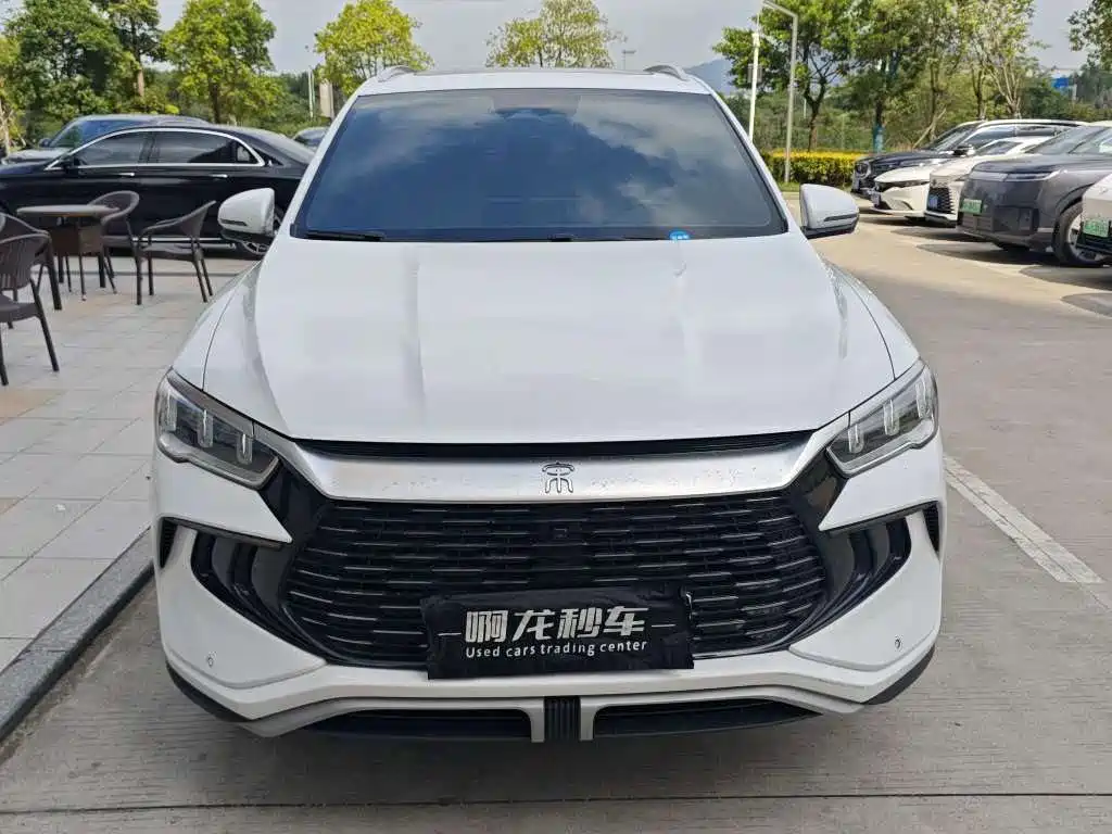 BYD Pro New Energy — миниатюра 2