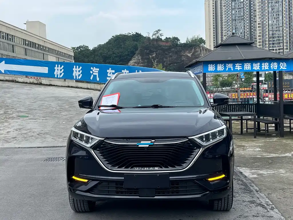 Oshan Oushang X7 — миниатюра 2