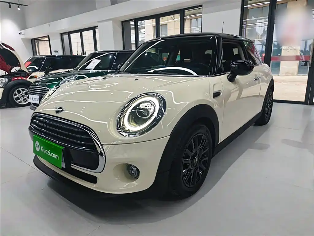 Mini Mini 2020