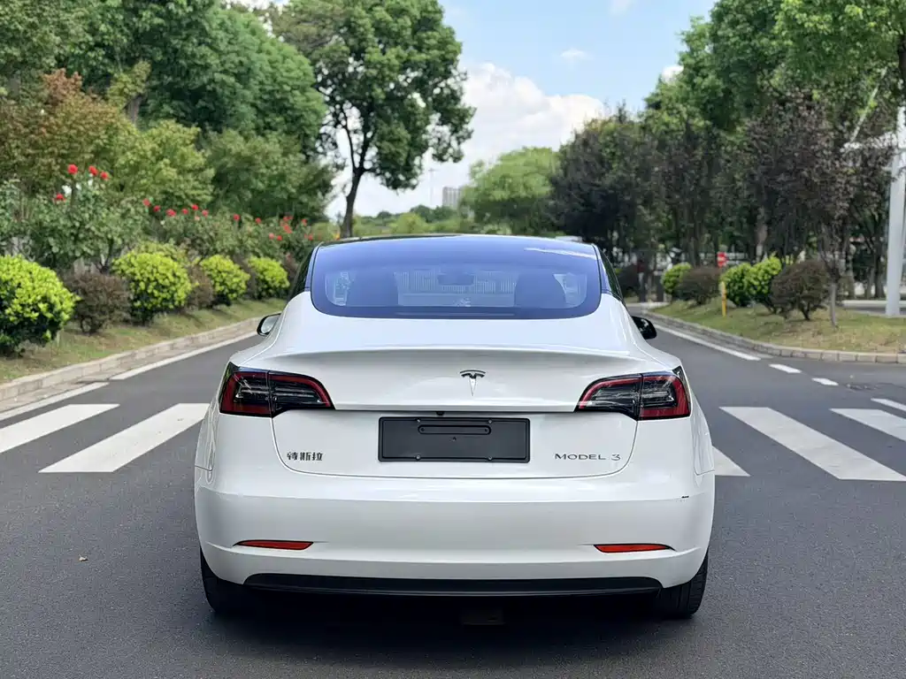Tesla Model 3 — миниатюра 6