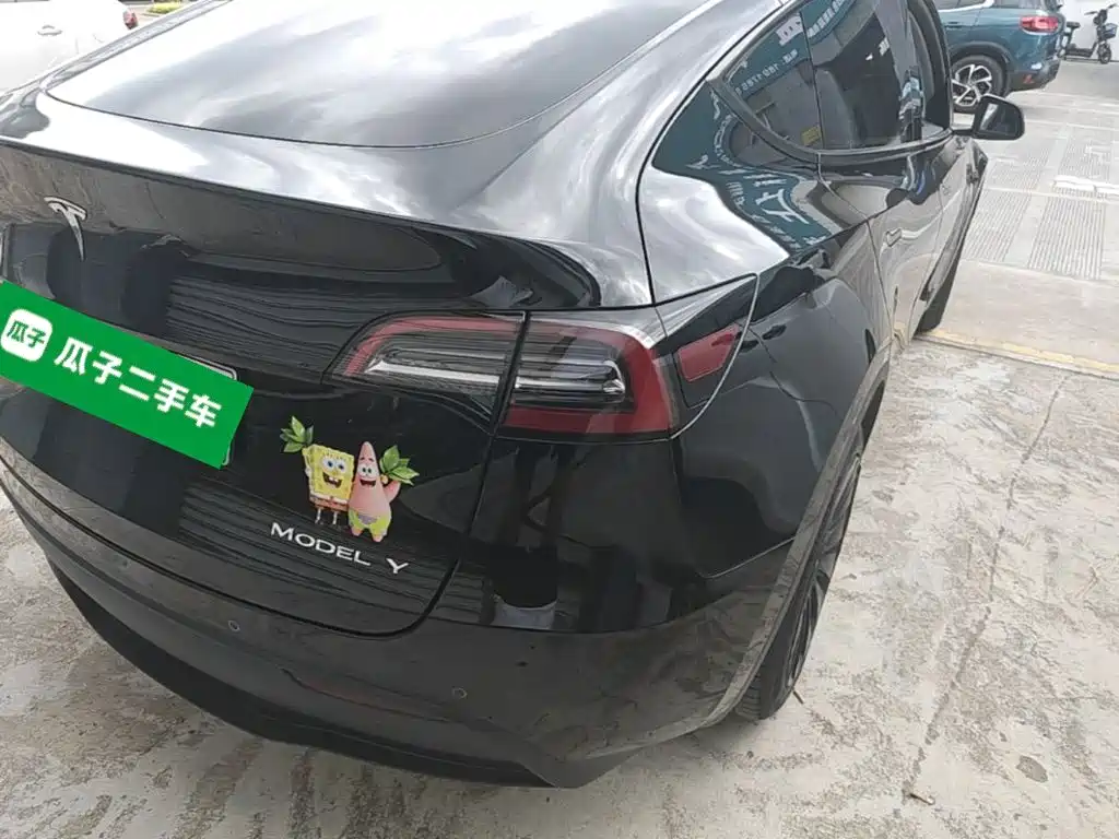 Tesla Model Y — миниатюра 8