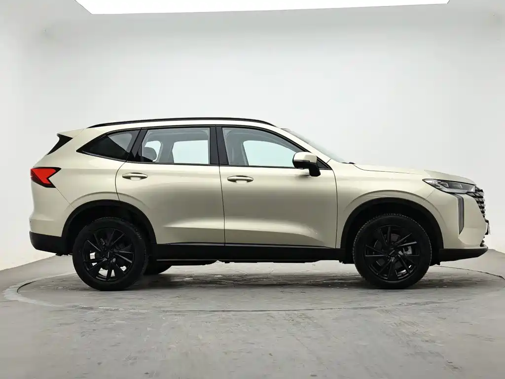 Haval H6 — миниатюра 5