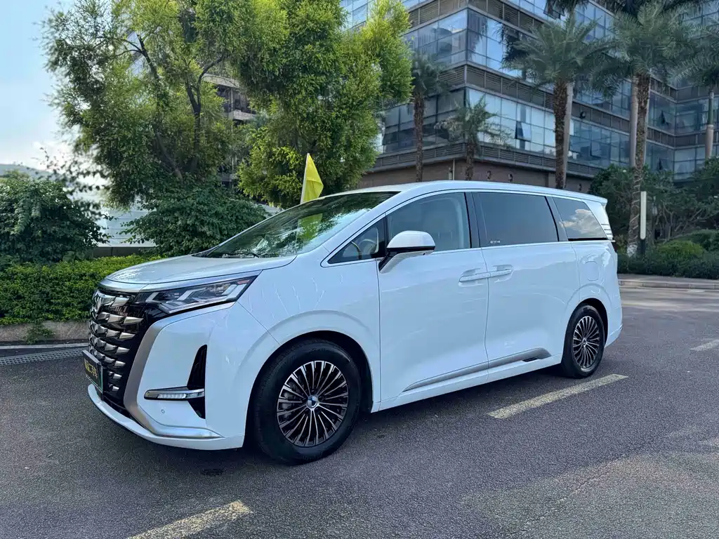 Denza Denza D9
