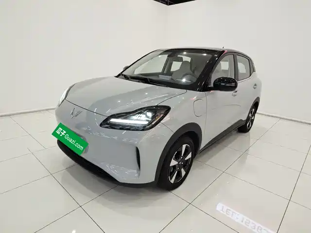 2025 Wuling Motors Binguo