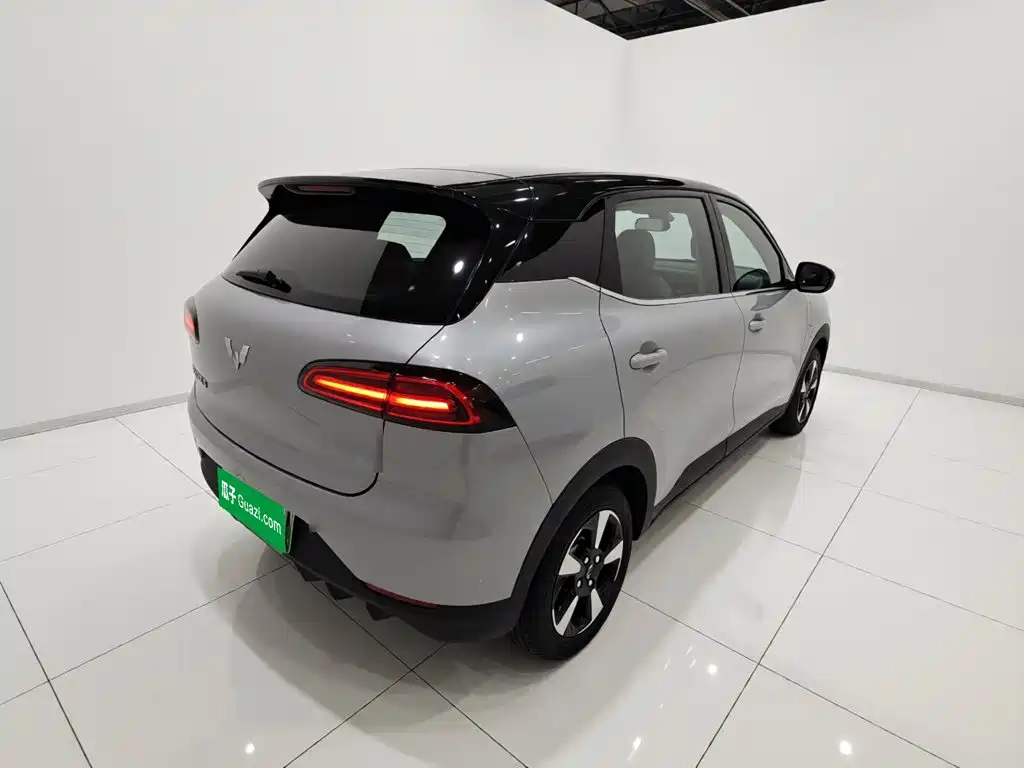 Wuling BinguoPLUS PLUS 2024 330km мест