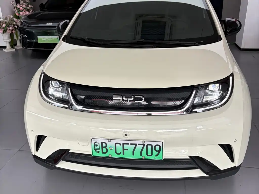 BYD Dolphin — миниатюра 2