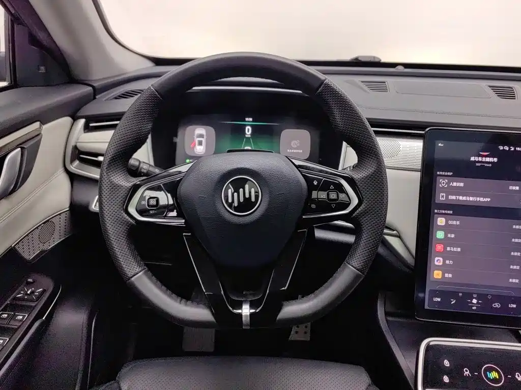 WM Motor EX5 — миниатюра 11