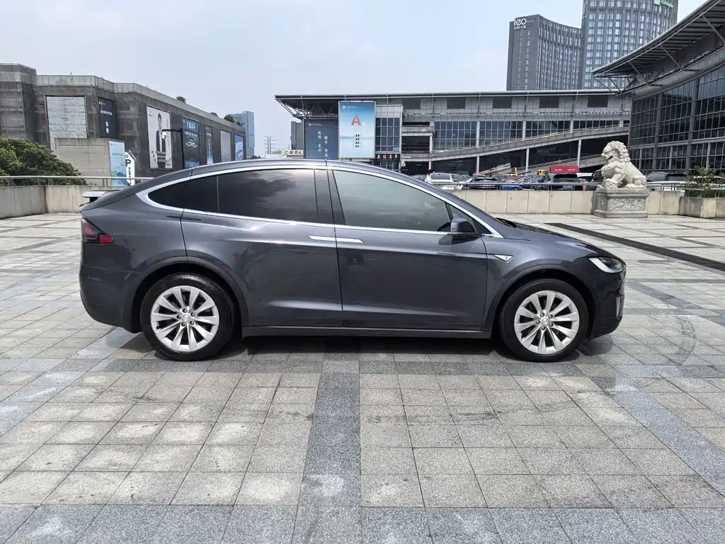 Tesla Model X — миниатюра 4