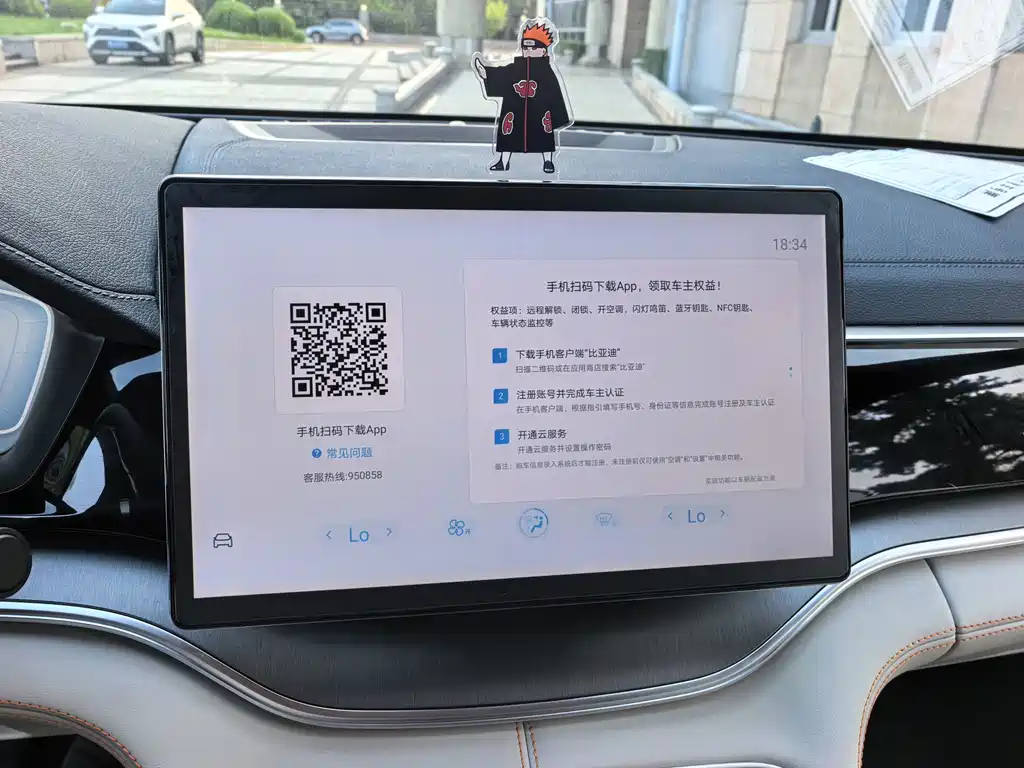 BYD PLUS New Energy — миниатюра 14