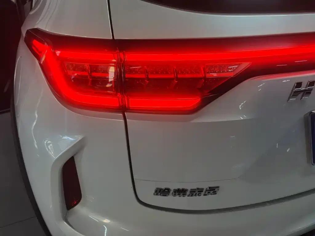 Haval Chitu — миниатюра 20