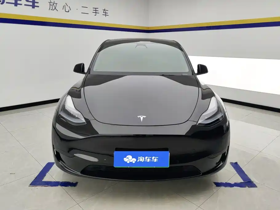 Tesla Model Y — миниатюра 2