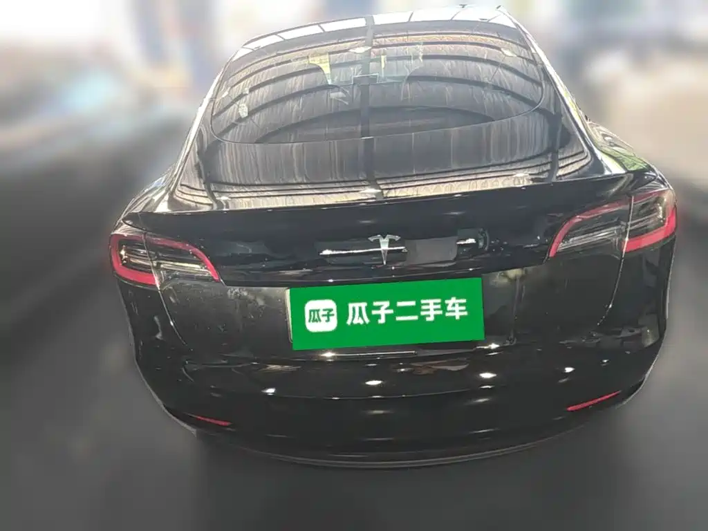 Tesla Model 3 — миниатюра 8