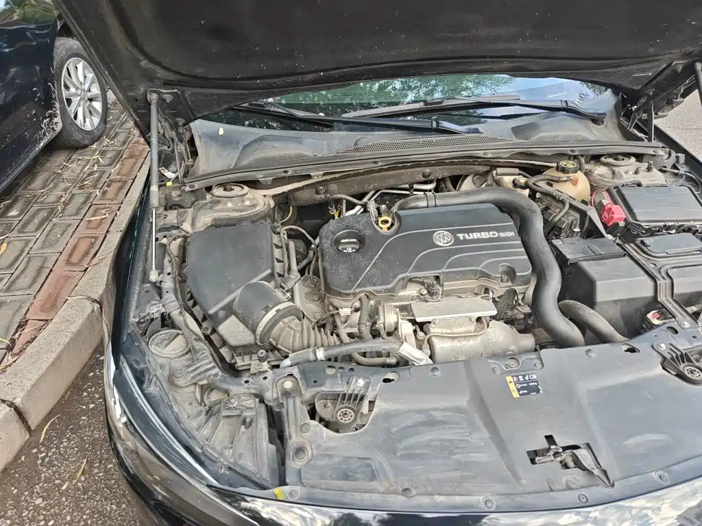 Buick Regal — миниатюра 20