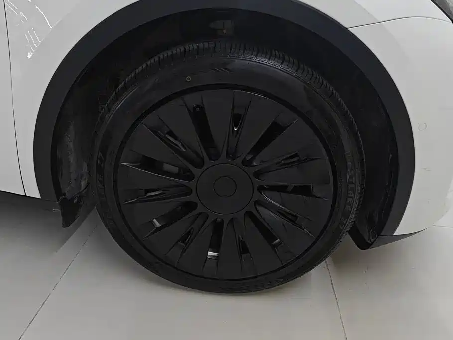 Tesla Model Y — миниатюра 6