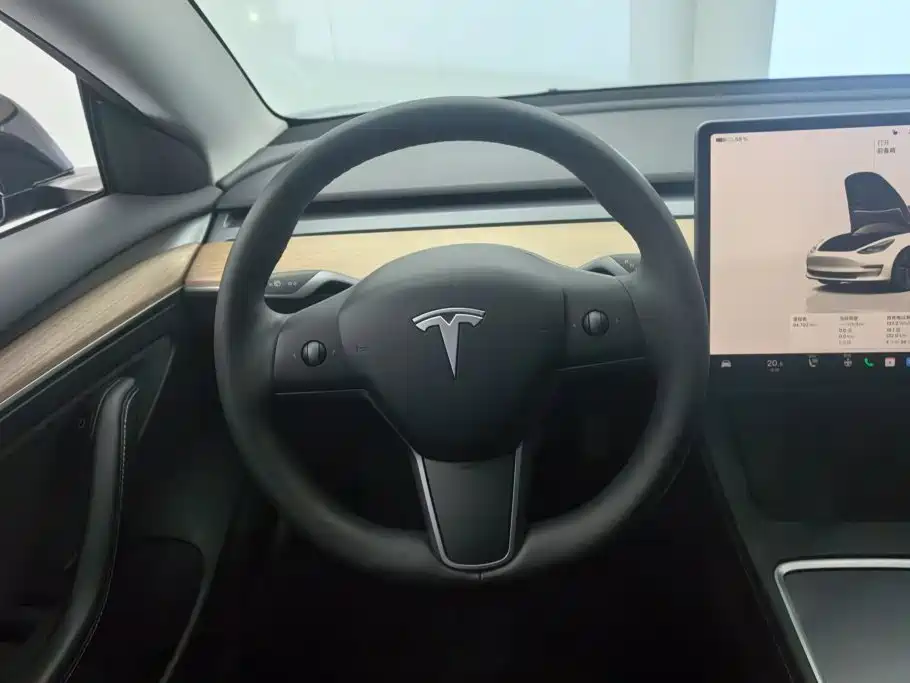 Tesla Model 3 — миниатюра 15