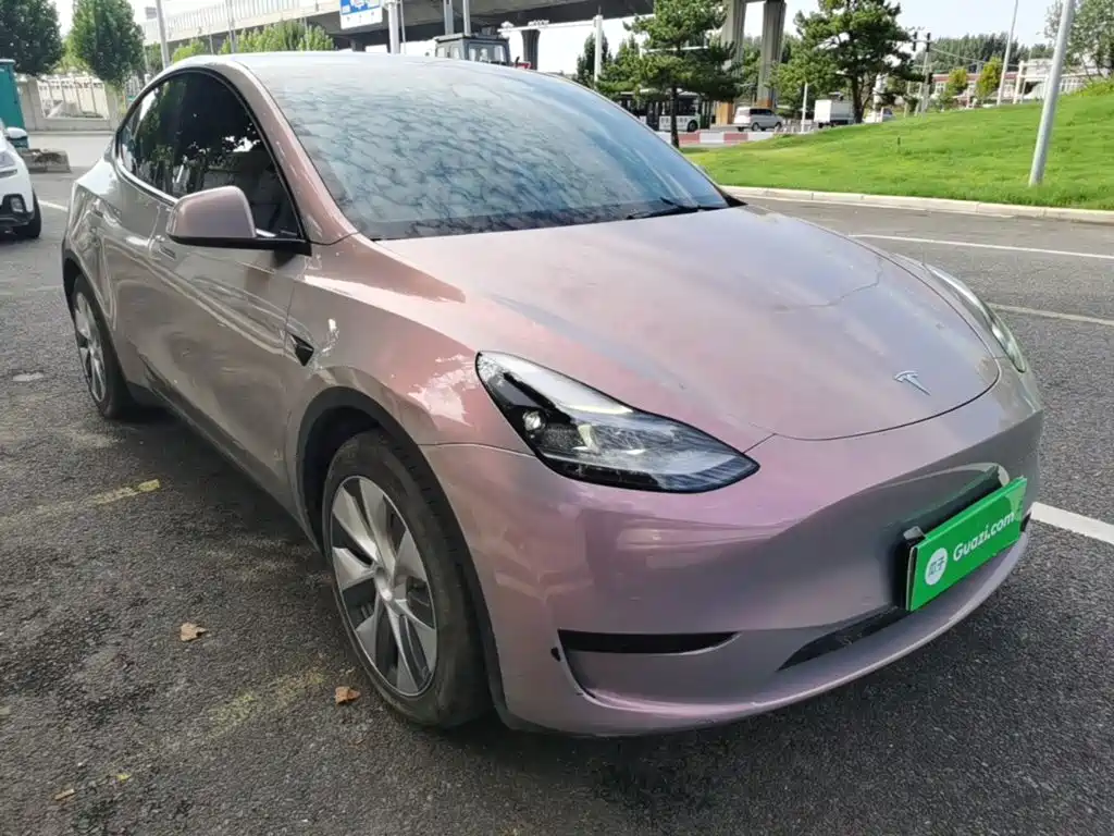 Tesla Model Y — миниатюра 4