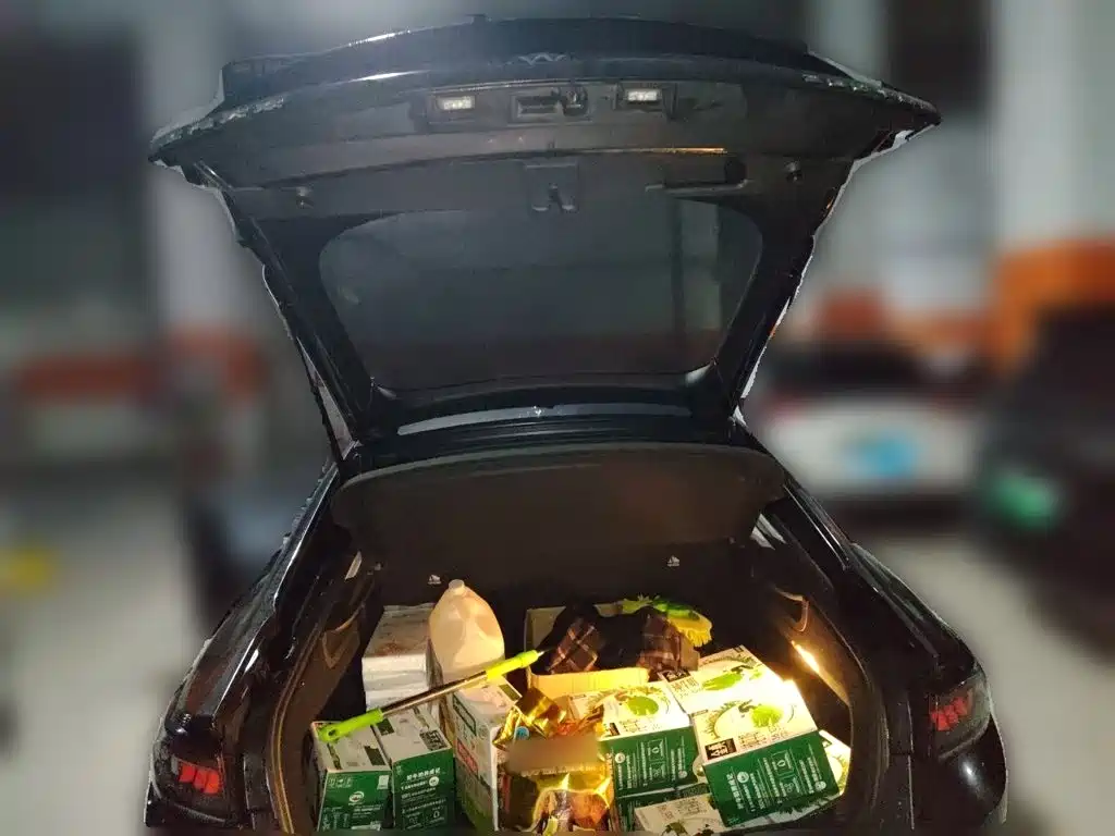 Volkswagen Lamando — миниатюра 20