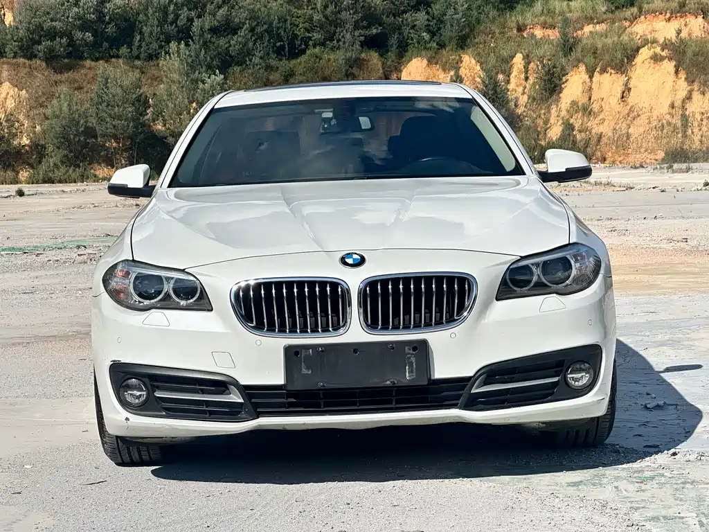 BMW 5 Series — миниатюра 2