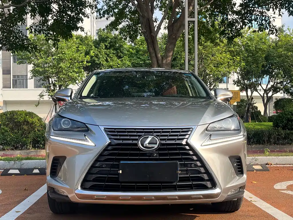 Lexus NX — миниатюра 2