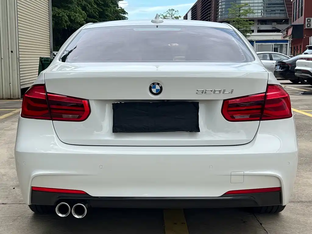 BMW 3 Series 3 2019 320Li M Sport