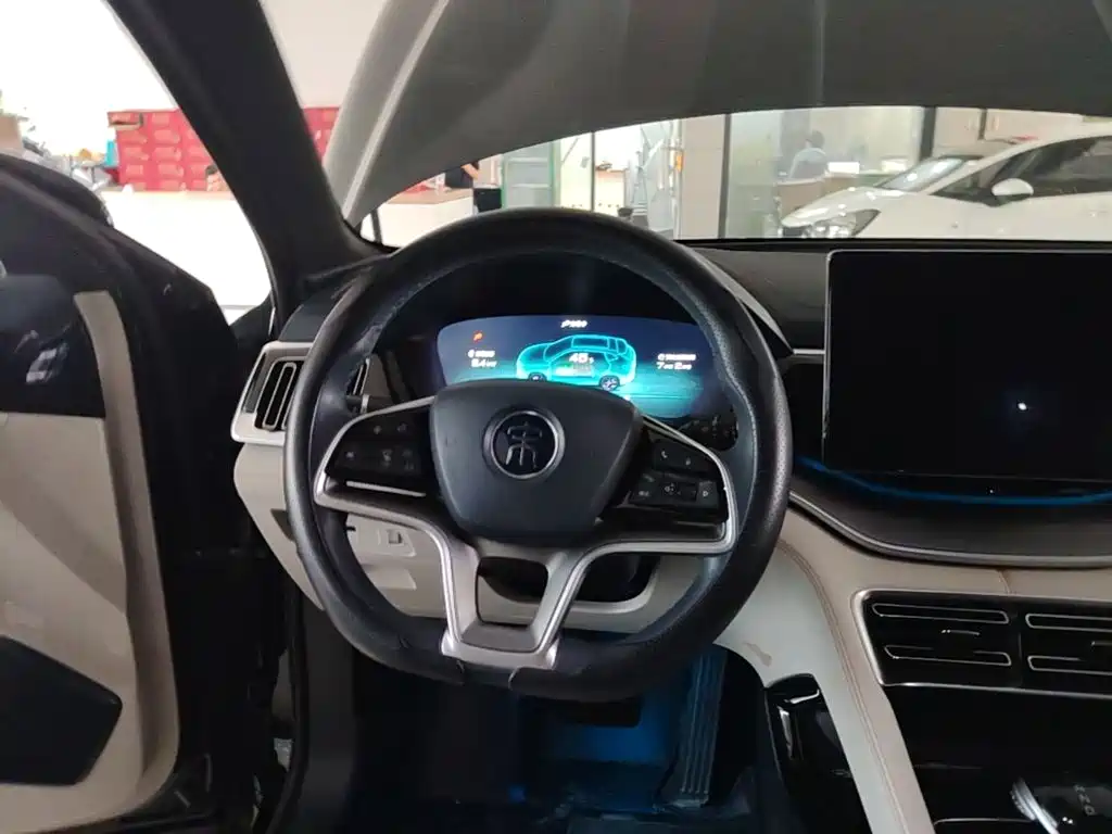 BYD PLUS New Energy — миниатюра 11