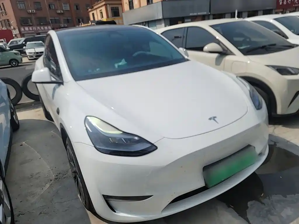 Tesla Model Y — миниатюра 4