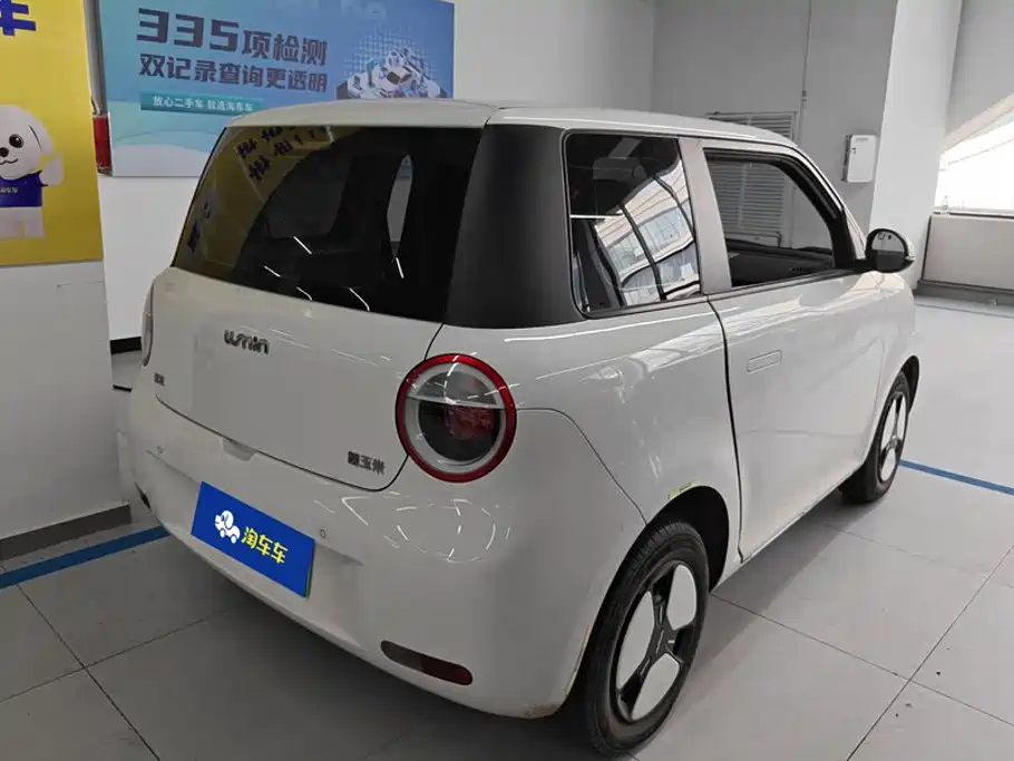Qiyuan Lumin — миниатюра 3