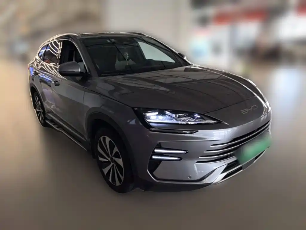 BYD PLUS New Energy — миниатюра 6