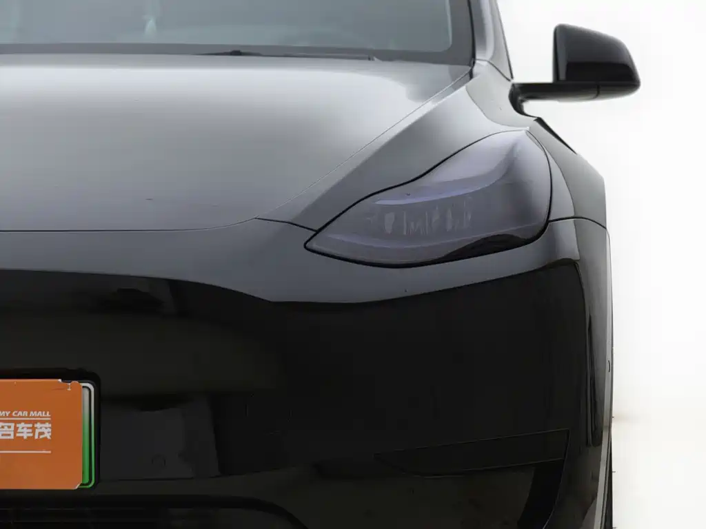 Tesla Model Y — миниатюра 21