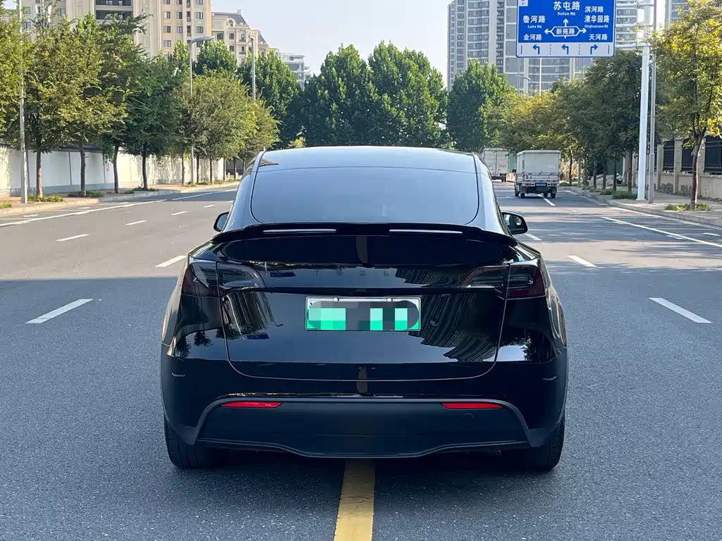 Tesla Model Y — миниатюра 9