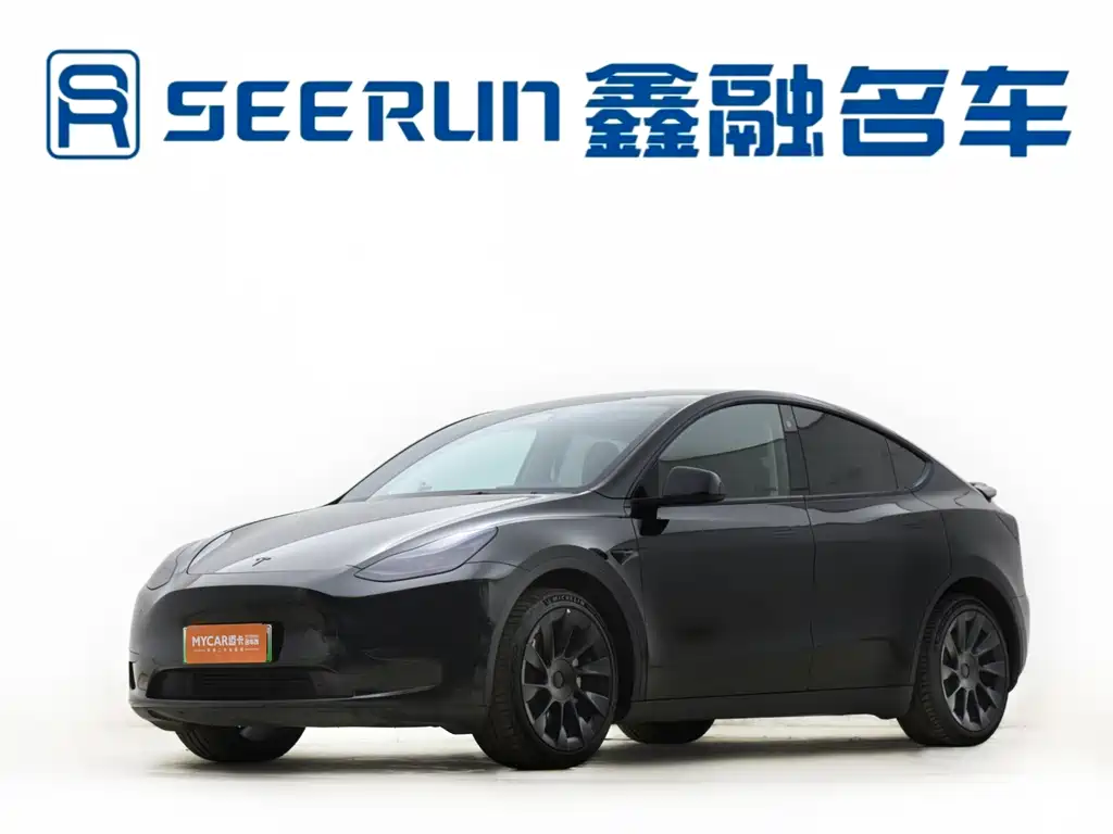Tesla Model Y — миниатюра 18
