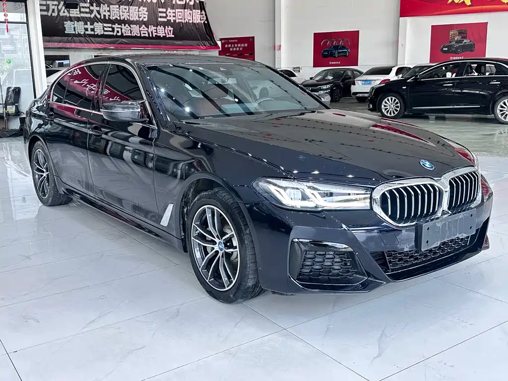 BMW 5 Series New Energy — миниатюра 3