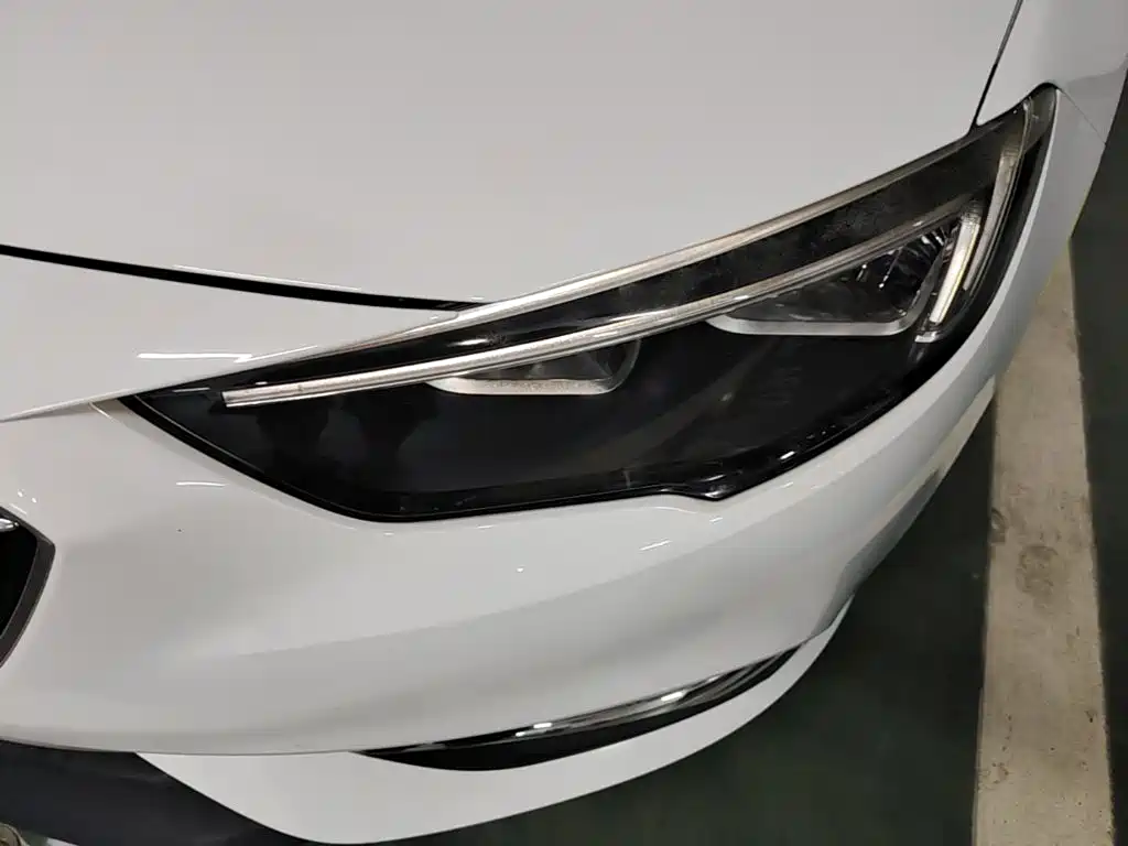 Buick Regal — миниатюра 24
