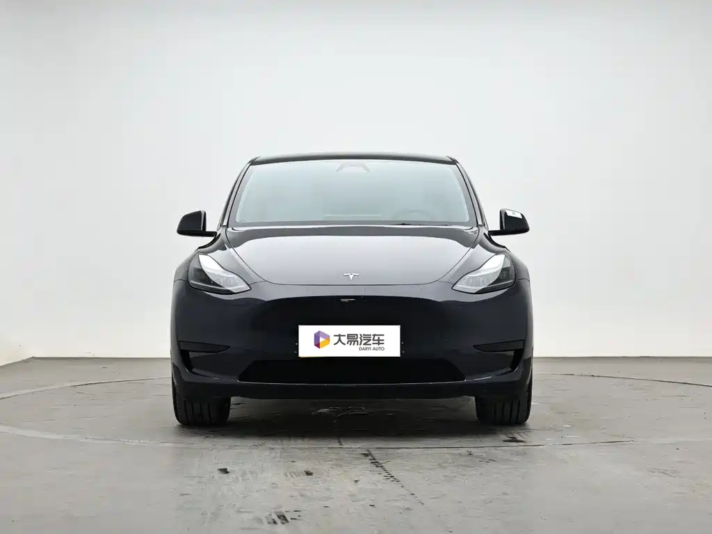 Tesla Model Y — миниатюра 2